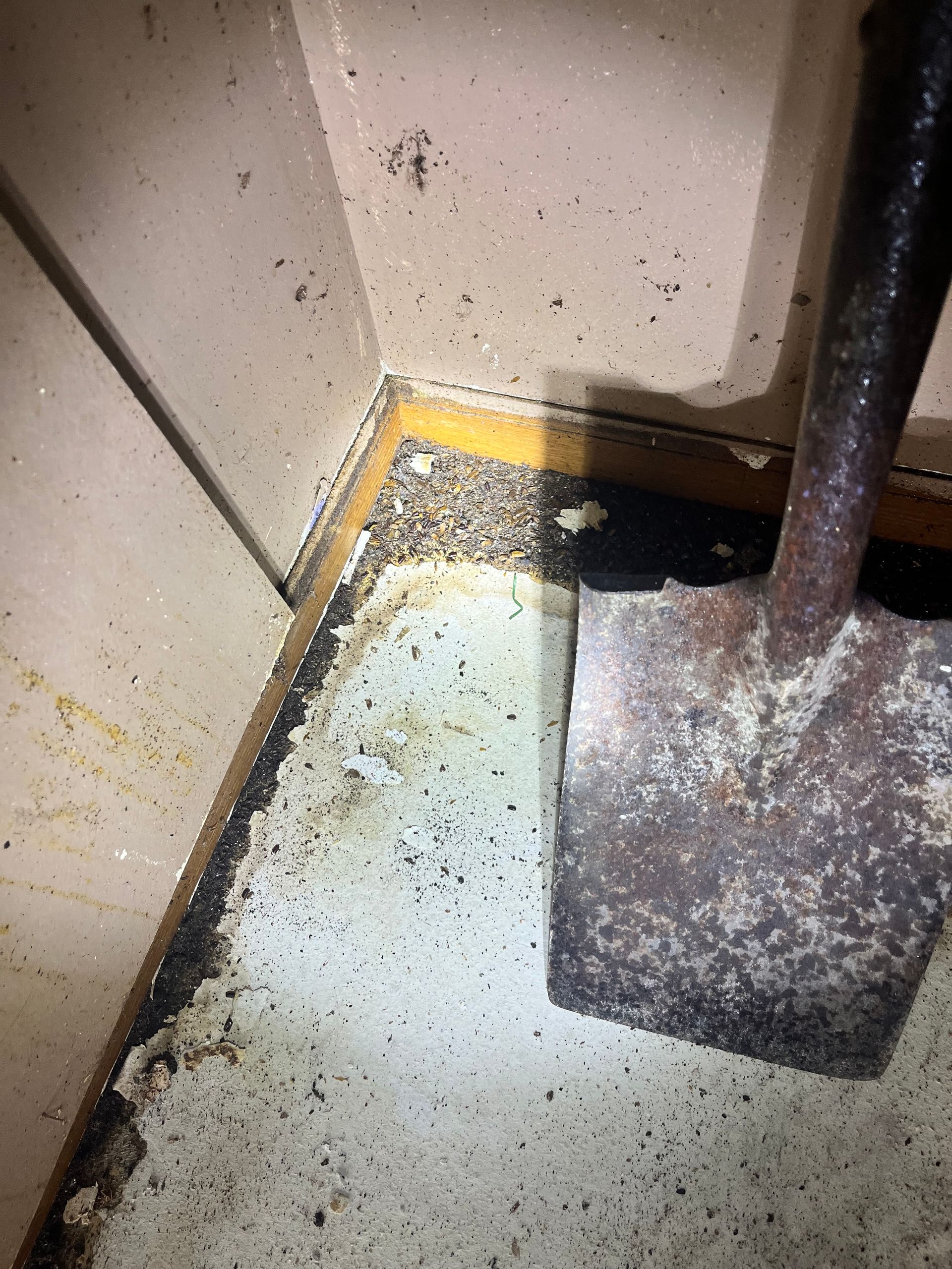 A rusty shovel in the corner of a room covered in black and white debris.