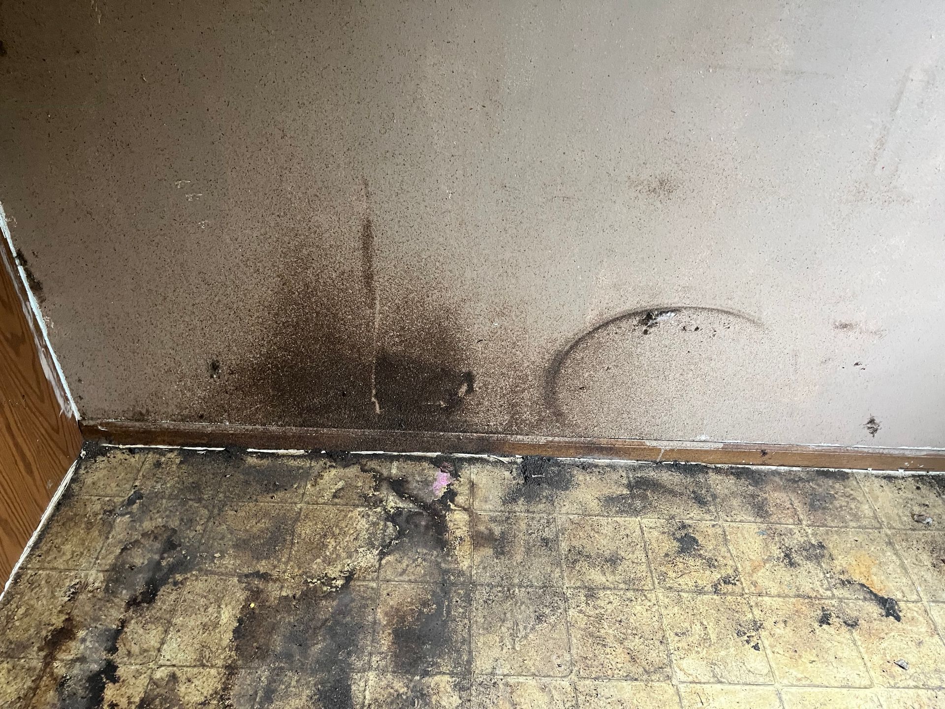 Dark mold on a ceiling and damaged flooring in a corner of a room.
