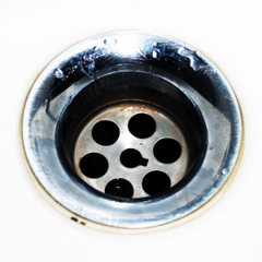 drain sewer services