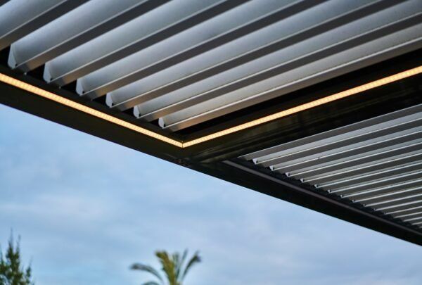 Un primer plano de una pérgola con una palmera al fondo.