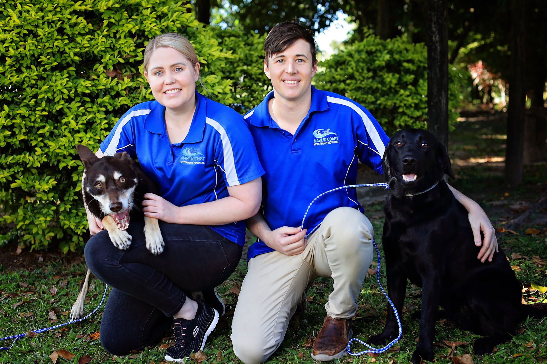 Marlin Coast Veterinary Hospital Vet in Trinity Beach