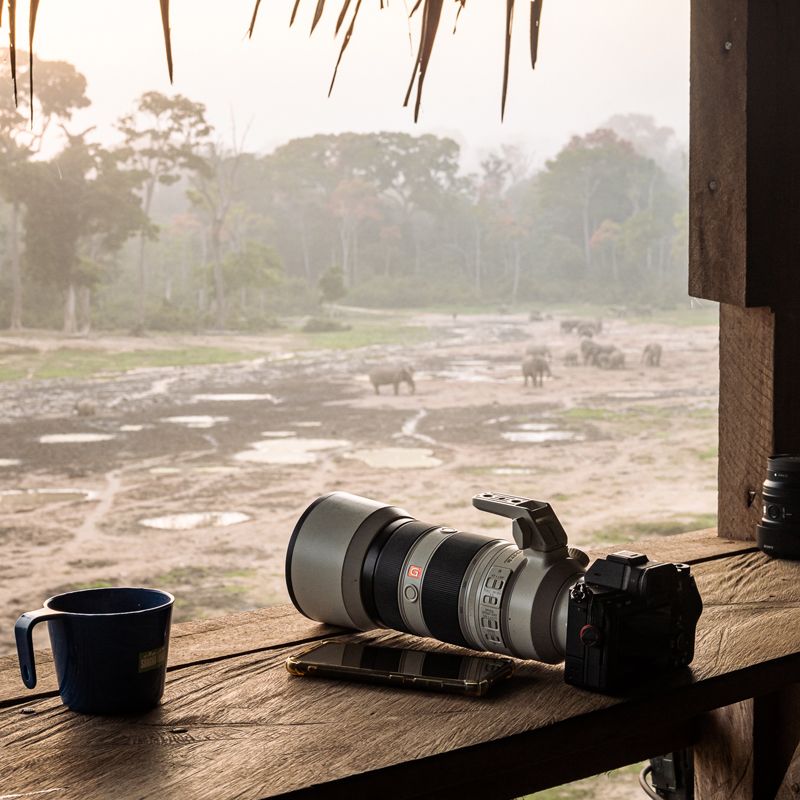 Zambia is a top destination for wildlife photography