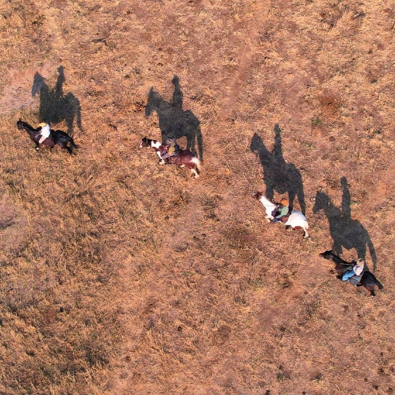 Gaze upon an exhilarating safari experience as a group of riders explore Zimbabwe’s Hwange National Park on horseback. This striking photograph captures riders moving through open savannah and woodland landscapes, offering a unique, ground-level perspective of one of Africa’s most wildlife-rich parks. Horseback safaris allow for a deeper connection with nature, blending adventure with the raw beauty of the African wilderness. Experiencing Hwange in this immersive way creates unforgettable moments and a true sense of exploration. Inspiration Africa specializes in designing bespoke, tailor-made journeys that deliver extraordinary safari adventures across Africa’s most remarkable destinations.
