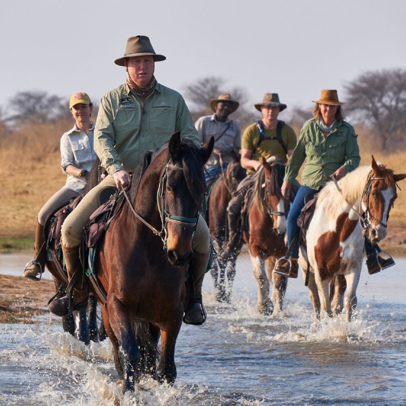 Gaze upon an exhilarating safari experience as a group of riders explore Zimbabwe’s Hwange National Park on horseback. This striking photograph captures riders moving through open savannah and woodland landscapes, offering a unique, ground-level perspective of one of Africa’s most wildlife-rich parks. Horseback safaris allow for a deeper connection with nature, blending adventure with the raw beauty of the African wilderness. Experiencing Hwange in this immersive way creates unforgettable moments and a true sense of exploration. Inspiration Africa specializes in designing bespoke, tailor-made journeys that deliver extraordinary safari adventures across Africa’s most remarkable destinations.