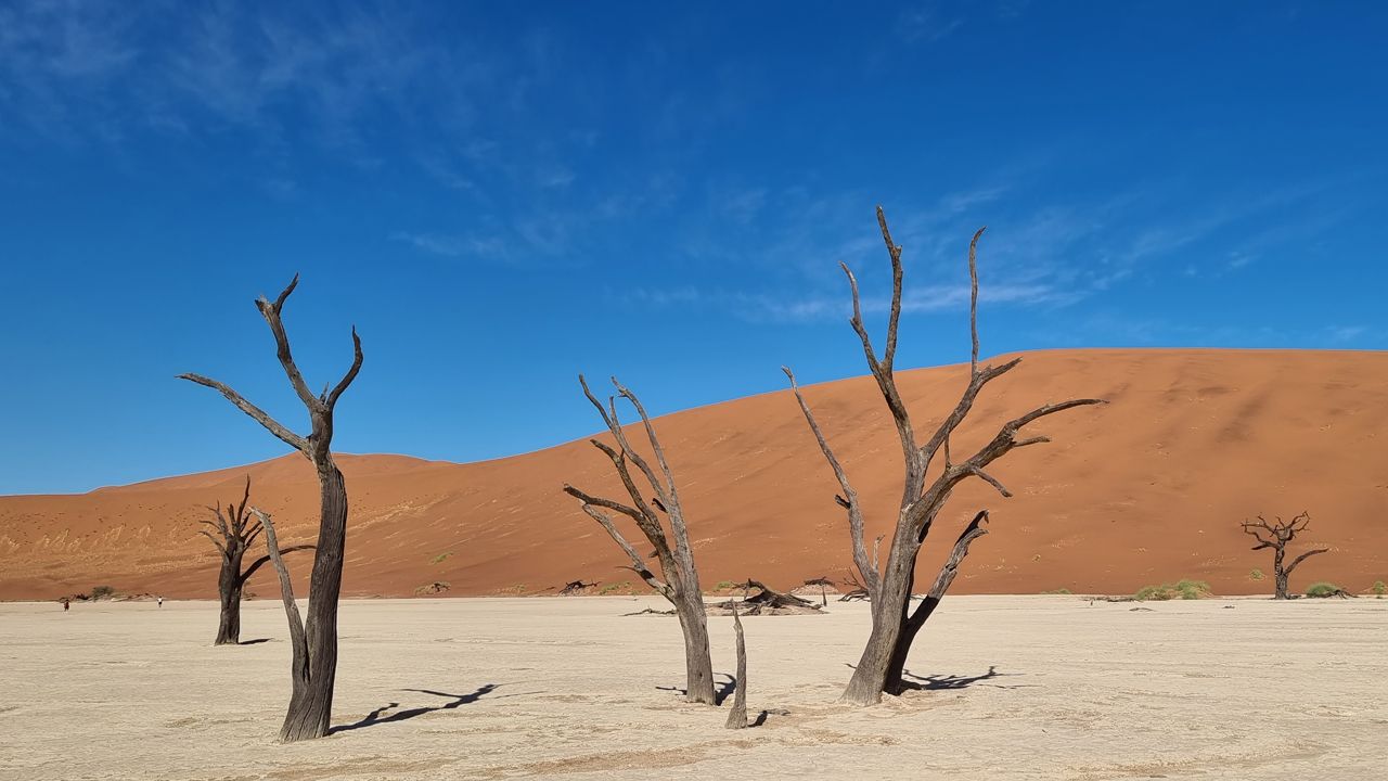 Discover the surreal beauty of Namibia with Inspiration Africa. The iconic dead trees of Deadvlei set against the towering dunes of Sossusvlei create one of Africa’s most striking landscapes. We specialize in designing bespoke, tailor-made journeys that combine extraordinary perspectives with Africa’s most remarkable destinations, from desert exploration to immersive nature experiences.