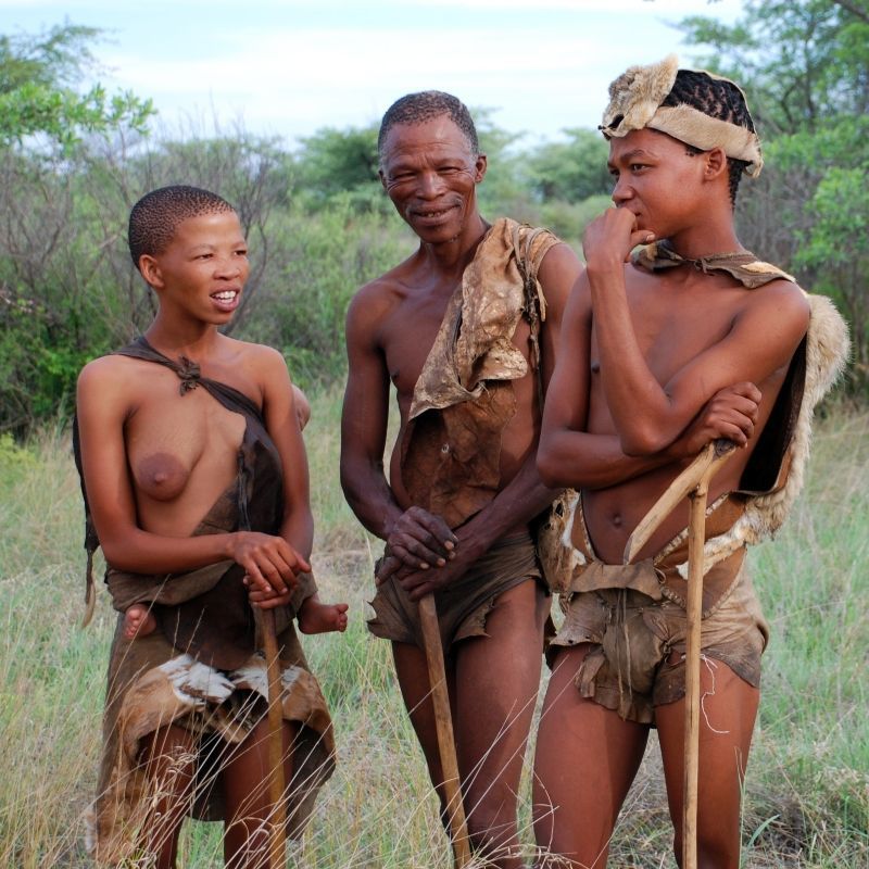 San people in the Kalahari are captured in this evocative portrait, reflecting the deep cultural heritage and ancestral knowledge of Southern Africa’s first peoples. Set against the vast, arid landscapes of the Kalahari Desert, the image highlights a way of life closely connected to nature, survival, and an intimate understanding of the land. The San people are among the world’s oldest continuous cultures, known for their tracking skills, storytelling traditions, and profound relationship with their environment. This powerful scene offers a glimpse into their enduring legacy and the resilience of indigenous traditions in one of Africa’s most remote regions.
Inspiration Africa specializes in bespoke, tailor-made journeys across Southern Africa, crafting meaningful cultural and wilderness experiences that connect travellers with the people, landscapes, and living heritage of regions like the Kalahari in an authentic and respectful way.