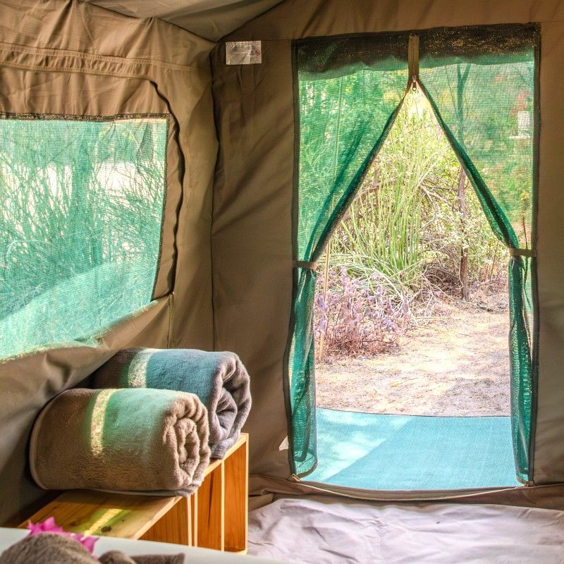 The interior of one of the tents at Boleti River Camp in Botswana is showcased in this inviting travel photograph, highlighting a cozy and thoughtfully designed space that harmonizes with the surrounding wilderness. A comfortable bed dressed in crisp linens forms the focal point, while natural wooden furnishings, soft neutral tones, and subtle decorative touches reflect the textures and colors of the bush outside. Large openings and canvas walls allow natural light and fresh air to fill the tent, offering unobstructed views of the river and nearby wildlife. The interior strikes a balance between authentic safari living and understated luxury, providing guests with a peaceful retreat immersed in Botswana’s remote and wildlife-rich environment. Inspiration Africa specializes in bespoke, tailor-made journeys to Botswana and across Africa, crafting unforgettable safari experiences in extraordinary wilderness destinations.