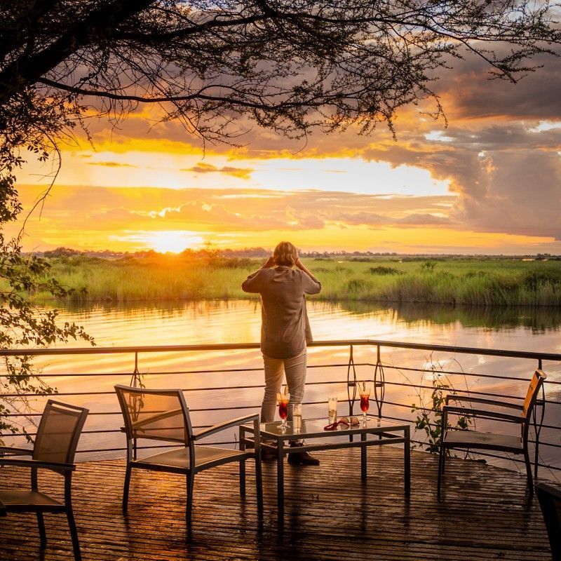 A guest watching the sunset from the balcony of Chobe Safari Lodge in Botswana is captured in this atmospheric travel photograph, overlooking the meandering Chobe River and surrounding floodplains. Warm golden light spreads across the landscape, highlighting the silhouettes of distant trees and creating a tranquil, immersive atmosphere. The elevated balcony provides a peaceful vantage point for observing wildlife along the river’s edge, where elephants, hippos, and birdlife are often seen. The lodge’s natural materials and thoughtful design blend seamlessly with the environment, allowing guests to experience the beauty of the bush in comfort and serenity. This scene reflects the essence of an authentic Botswana safari, combining breathtaking sunsets, relaxation, and a close connection to nature. Inspiration Africa specializes in bespoke, tailor-made journeys to Botswana and across Africa, crafting unforgettable safari experiences in extraordinary wilderness destinations.