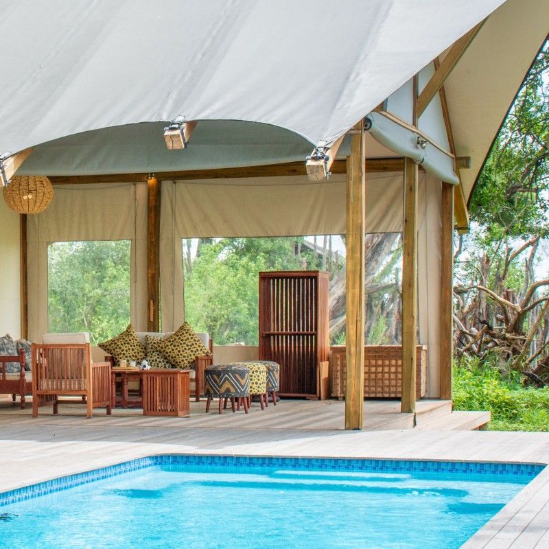 The inviting swimming pool at Kwara Camp in Botswana is captured in this serene travel photograph, set against the backdrop of the lush Okavango Delta landscape. Surrounded by wooden decking, comfortable loungers, and native vegetation, the pool offers a refreshing retreat for guests after a day of safari exploration. Soft natural light reflects on the water’s surface, enhancing the calm and luxurious atmosphere of the camp. The scene emphasizes Kwara Camp’s seamless integration with its wilderness surroundings, providing comfort, relaxation, and immersive views of the delta. Inspiration Africa curates bespoke, tailor-made journeys to Botswana and across Africa, combining luxury safari lodges with unforgettable wildlife and nature experiences.