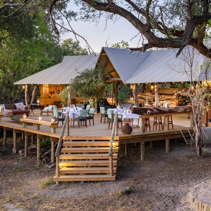 The exterior of Mna Tsebe Camp in Botswana is presented in this evocative travel photograph, highlighting a remote safari camp set within an unspoiled wilderness landscape. Tented structures are thoughtfully positioned to blend into the surrounding environment, with natural materials and muted tones that echo the colors of the bush. Elevated walkways and open spaces create a sense of flow between the camp and its surroundings, encouraging guests to engage with the sights and sounds of nature. Indigenous vegetation and expansive views emphasize the camp’s secluded setting and commitment to low-impact safari living. This scene captures the spirit of an authentic Botswana safari experience, defined by simplicity, privacy, and a deep connection to the natural world. Inspiration Africa specializes in bespoke, tailor-made journeys to Botswana and across Africa, crafting unforgettable safari experiences in extraordinary wilderness destinations.