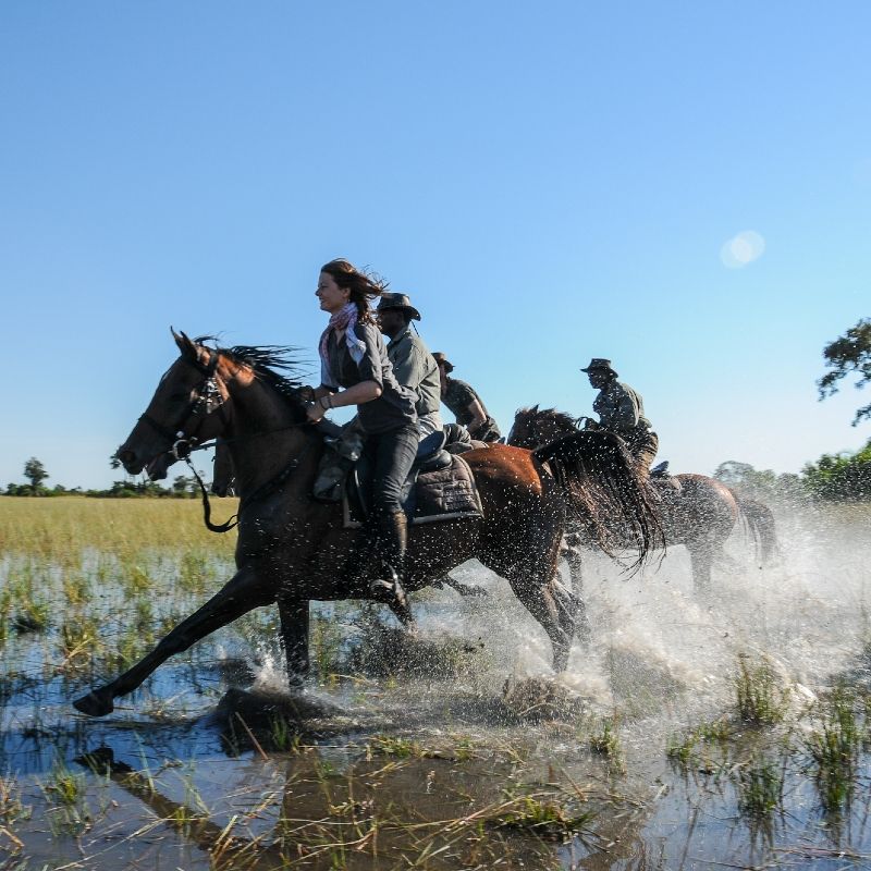 A horse and rider gallop through the flooded landscapes of the Okavango Delta in Botswana during the vibrant wet season, surrounded by sparkling waterways, lush grasses, and breathtaking wilderness. Water splashes beneath the horse’s stride as the vast delta comes alive with rich birdlife, abundant wildlife, and dramatic natural beauty. This exhilarating scene captures the spirit of adventure and freedom that makes horseback safaris in the Okavango Delta one of Africa’s most unique and immersive wildlife experiences. Inspiration Africa specializes in bespoke, tailor-made journeys across Botswana and the African continent, creating exceptional travel experiences that connect travelers with Africa’s most extraordinary landscapes, wildlife, and cultures. From exclusive horseback safaris and luxury camps to unforgettable safari adventures, every itinerary is carefully curated to reveal the beauty, diversity, and spirit of Africa.
