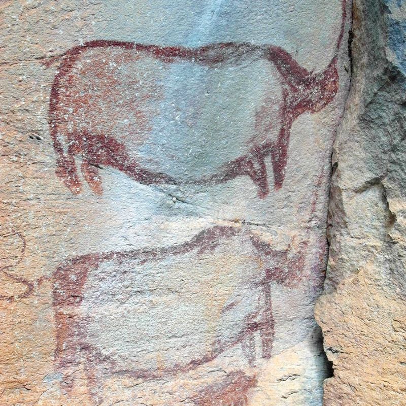 Ancient rock art in the Tsodilo Hills in Botswana is featured in this evocative travel photograph, showcasing intricate paintings etched onto weathered rock surfaces by the San people thousands of years ago. The artwork depicts animals, human figures, and symbolic patterns, offering a glimpse into the rich cultural and spiritual heritage of the region. Surrounding rocky terrain, sparse vegetation, and the undulating hills emphasize the remote and timeless character of this UNESCO World Heritage site. The image captures both the artistic skill and historical significance of the San culture, highlighting the deep connection between people and the landscape in Botswana’s wilderness. Inspiration Africa specializes in bespoke, tailor-made journeys to Botswana and across Africa, crafting unforgettable safari and cultural experiences in extraordinary destinations.