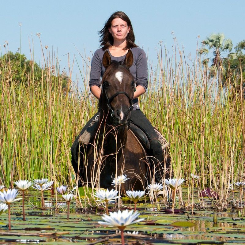 A woman rides horseback through the shimmering wetlands of the Okavango Delta in Botswana, moving gracefully across shallow floodplains surrounded by papyrus reeds, open water channels, and endless African skies. The horse’s steady stride through the reflective waters captures the spirit of freedom and adventure that defines horseback safaris in one of Africa’s most extraordinary ecosystems. This unique perspective highlights the harmony between rider, wildlife, and the ever-changing delta landscape, where seasonal floods transform the terrain into a vast aquatic wilderness.
Inspiration Africa specializes in bespoke, tailor-made journeys across Botswana and the African continent, creating immersive travel experiences that connect travelers with exceptional wildlife encounters, pristine wetlands, and exclusive safari adventures. From horseback safaris in the Okavango Delta to luxury wilderness explorations, every itinerary is carefully curated to showcase the beauty, diversity, and spirit of Africa.