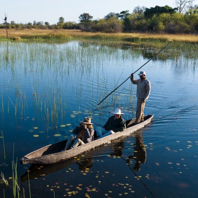 Experience the serene magic of Okavango Delta with Inspiration Africa. This image of a mokoro gliding through crystal-clear waterways captures the essence of Botswana’s most iconic wilderness. We specialize in designing bespoke, tailor-made journeys that combine extraordinary perspectives with Africa’s most remarkable safari destinations, creating deeply immersive and timeless safari experiences.