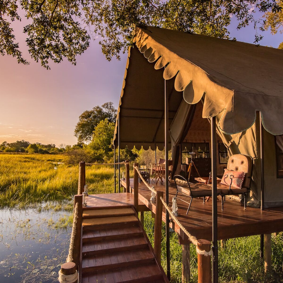 The exterior of Duke’s Camp by Natural Selection in Botswana is captured in this striking safari travel photograph, showcasing a classic tented camp set beneath towering jackalberry and fig trees in the Okavango Delta. Elegant canvas tents on raised wooden decks blend seamlessly into the surrounding wilderness, with lantern-lit walkways and natural textures enhancing the sense of understated luxury. The floodplains and waterways nearby reflect the ever-changing light, reinforcing the camp’s deep connection to its environment. The scene conveys timeless safari romance, exclusivity, and immersion in nature, highlighting Duke’s Camp as an iconic Okavango retreat offering an authentic yet refined African safari experience. Inspiration Africa specializes in bespoke, tailor-made journeys to Botswana and across Africa, crafting unforgettable safari experiences in extraordinary destinations.