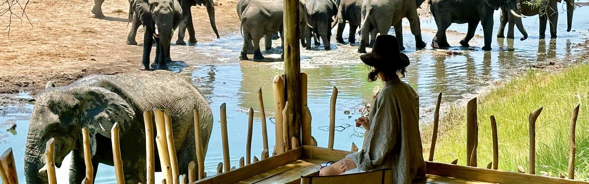A guest overlooking a herd of elephants gathered at a waterhole from the veranda at Moela Safari Lodge in Botswana is captured in this evocative travel photograph, highlighting a moment of quiet connection with the surrounding wilderness. From the shaded veranda, the view opens out across the waterhole below, where elephants drink, interact, and move through the landscape. The elevated vantage point allows for unobtrusive wildlife viewing, emphasizing the lodge’s thoughtful positioning within its natural environment. Soft light and open space create a calm, immersive atmosphere that reflects the essence of an authentic Botswana safari, defined by intimacy, perspective, and respect for nature. Inspiration Africa specializes in bespoke, tailor-made journeys to Botswana and across Africa, crafting unforgettable safari experiences in extraordinary wilderness destinations.