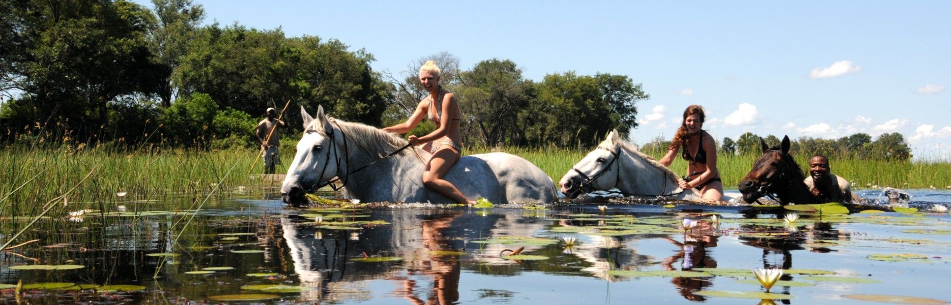 Adventurers laugh as they ride horses through the shimmering waters of the Okavango Delta in Botswana, captured in this exhilarating wildlife travel photograph. The horses wade—or nearly swim—through deep channels, surrounded by lush wetlands, papyrus reeds, and abundant birdlife, offering a unique water-level perspective on one of Africa’s most iconic safari destinations. Horseback safaris provide an intimate and immersive way to experience the delta’s wildlife, tranquility, and natural beauty, blending adventure with close encounters in pristine landscapes. Ideal for nature lovers, thrill-seekers, and photographers, this unforgettable experience captures the joy of exploring the Okavango on horseback. Inspiration Africa specializes in bespoke, tailor-made journeys to Botswana and across Africa, creating authentic, immersive safari adventures in extraordinary destinations.