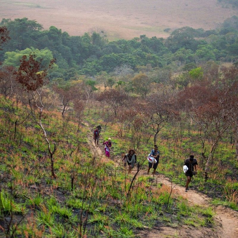 A group of hikers makes its way up the gentle slopes of Bombo Lumene Natural Reserve in the Congo DRC, surrounded by open savannah, woodland, and distant hills. Just a few hours from Kinshasa, this reserve offers scenic trails, birdlife, and a peaceful alternative to the dense equatorial forest. It’s a destination for those seeking nature, space, and quiet exploration. Inspiration Africa organizes tailor-made travel to the Congo DRC, including guided hikes and nature experiences in Bombo Lumene. Travel with us to discover the landscapes and natural rhythms of one of Central Africa’s most accessible and rewarding reserves. Inspiration Africa specializes in bespoke, tailor-made journeys to Congo and across Africa, crafting unforgettable safari experiences in extraordinary destinations.