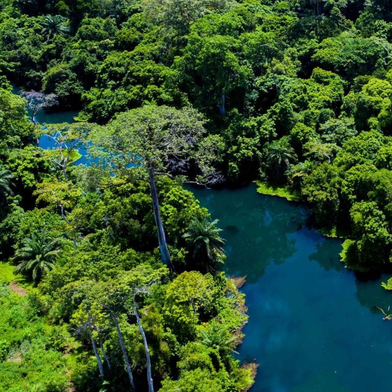 Embark on an unforgettable adventure with Expeditions Ducret aboard the Princesse Ngalessa cruise ship. Glide gently on the waters of the Sangha River in the Republic of Congo, where every moment is filled with breathtaking views and serene landscapes. Explore the heart of Africa's untouched wilderness from the comfort of our luxurious cruise ship, and experience the magic of the Congo's diverse flora and fauna. Join us for an expedition that promises not only relaxation but also an intimate encounter with nature's wonders. Book your journey today and let the Sangha River's tranquil beauty captivate your soul.