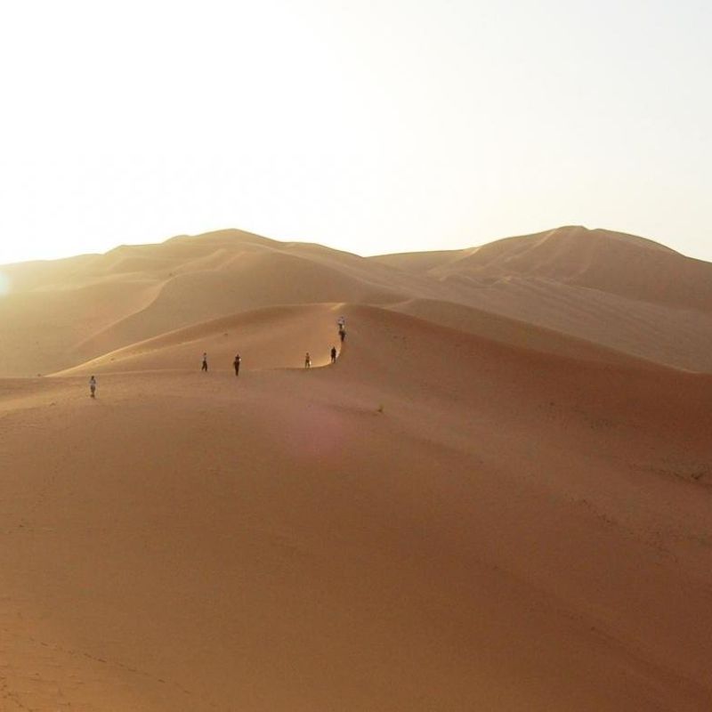 Experience the vast beauty of Algeria’s Sahara Desert with this striking image of sweeping sand dunes glowing beneath the sun. The photo captures the elegant curves, shifting textures and golden tones of the desert landscape, revealing the serene yet powerful character of one of the world’s most iconic wildernesses. From wind-sculpted ridges to endless horizons, the scene showcases the timeless majesty and quiet solitude that define the Algerian Sahara.
Inspiration Africa crafts tailor-made journeys to Algeria, offering travellers the chance to explore the Sahara’s dramatic dunes, discover desert culture and experience the captivating landscapes of North Africa’s greatest sand sea.