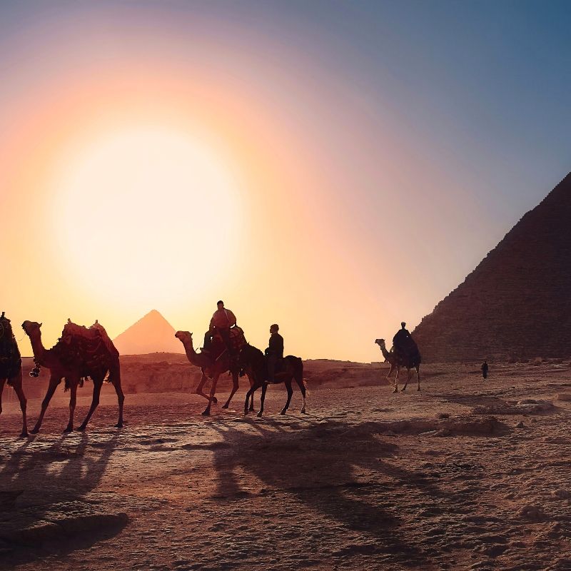 Experience the timeless beauty of Egypt’s desert with this evocative image of camels silhouetted against a glowing sunset. The photo captures the warm, golden hues of the sky as the animals traverse rolling dunes, highlighting the serene and iconic atmosphere of the Sahara. The scene reflects the enduring connection between desert landscapes and traditional nomadic life, creating a sense of peace, scale, and wonder.
Inspiration Africa designs tailor-made journeys to Egypt, offering travellers the chance to explore the desert, ride with camels across sweeping dunes, and witness unforgettable sunsets in one of North Africa’s most iconic landscapes.