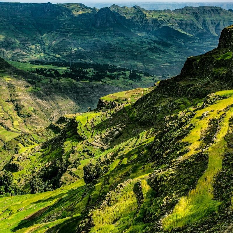 Explore Ethiopia’s highlands with Inspiration Africa, where steep green hills stretch across the horizon and trails invite discovery. This breathtaking region offers some of Africa’s most rewarding hiking and trekking experiences, combining natural beauty with encounters in remote mountain communities. From gentle day walks to multi-day treks, Inspiration Africa designs tailor-made journeys that immerse travelers in Ethiopia’s landscapes, culture, and rhythm of rural life. Travel with us to experience the country’s highlands on foot — a journey through scenery and tradition shaped by altitude and timeless terrain