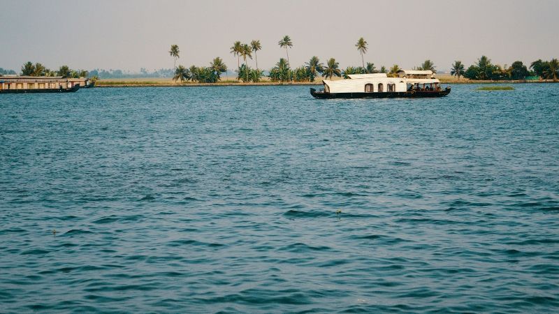 This scenic image features a peaceful river cruise along the lush Gambian waterways, surrounded by dense greenery and rich wildlife. The Gambia’s rivers and creeks are home to hippos, crocodiles, monkeys, and a wide variety of bird species. A river safari offers a unique way to explore the country’s natural beauty and local life. Inspiration Africa organizes tailor-made journeys that include guided cruises on the Gambia River and its tributaries, providing close-up views of wildlife in their natural habitat. Discover The Gambia from the water with immersive, eco-focused experiences crafted by Inspiration Africa. nspiration Africa specializes in bespoke, tailor-made journeys to the Gambia and across Africa, crafting unforgettable safari experiences in extraordinary destinations.
