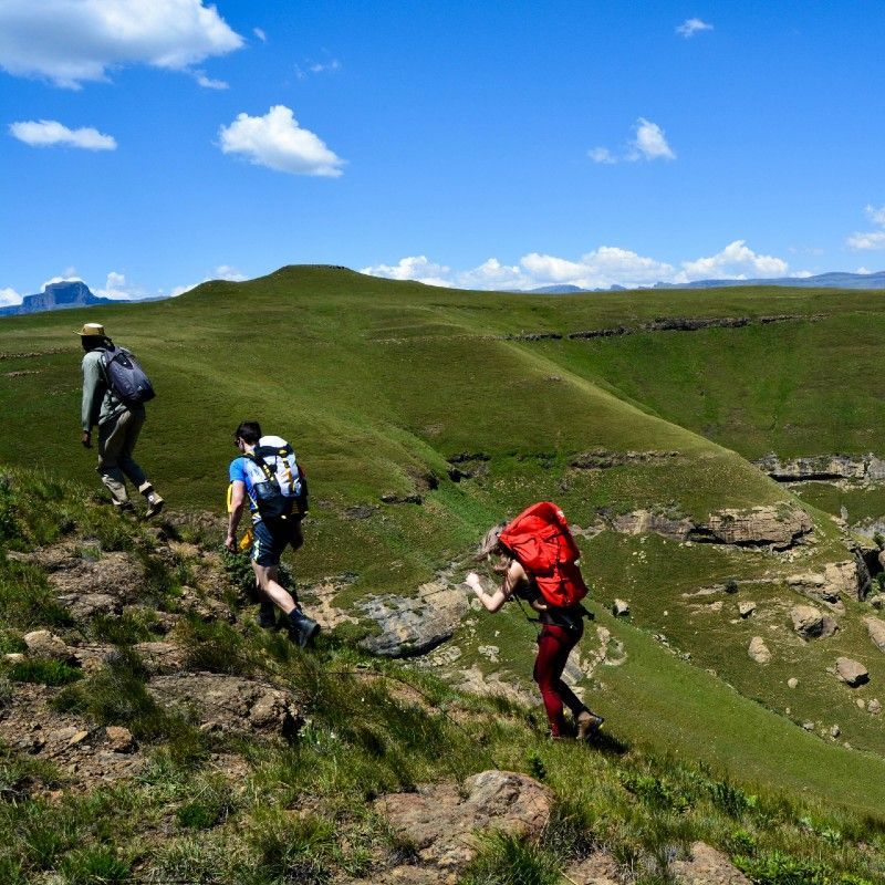 Hikers on a scenic trail in the mountains of Lesotho take in breathtaking views of the Maloti Mountains, near the iconic Thabana Ntlenyana—Southern Africa’s highest peak. This region offers some of the most rewarding hiking routes, including trails around Sehlabathebe National Park and the Sani Pass. Inspiration Africa organizes tailor-made travel experiences to Lesotho, guiding adventurers through its dramatic landscapes, remote villages, and high-altitude beauty. Whether exploring the rugged Bokong Nature Reserve or trekking through alpine meadows, Lesotho offers unforgettable mountain hiking—and Inspiration Africa ensures every journey is seamless, safe, and personalized to your travel interests.