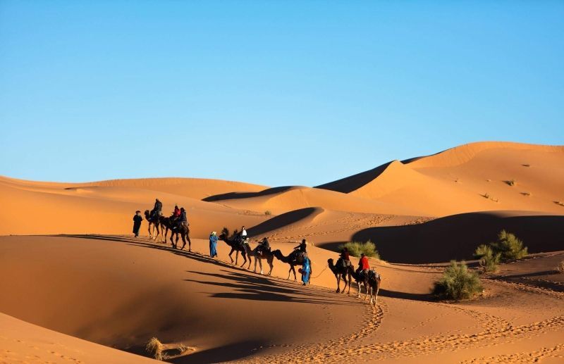 Camel trekking in Morocco, especially around Merzouga and Zagora, offers a scenic desert adventure, allowing visitors to traverse dunes, explore remote landscapes, and experience traditional culture amid the mesmerizing Sahara backdrop.