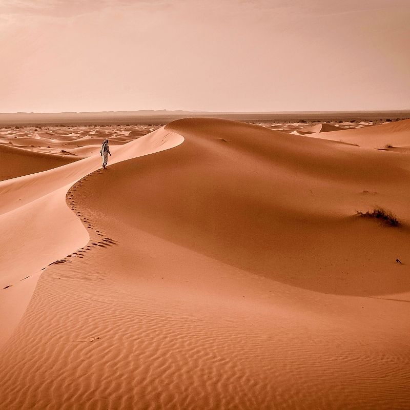 Experience the golden majesty of Merzouga with this striking image of a towering sand dune glowing beneath the desert sun. The photo captures the elegant curves, warm amber tones and shifting shadows that define the Moroccan Sahara, highlighting the serene yet powerful beauty of this iconic landscape. As the light moves across the dunes, the scene transforms into a breathtaking display of texture and colour, reflecting the timeless allure of Merzouga’s desert scenery.
Inspiration Africa crafts tailor-made journeys to Morocco, offering immersive experiences in Merzouga and beyond. Explore the sweeping dunes, meet local desert communities and discover the enchanting atmosphere of the Moroccan Sahara.