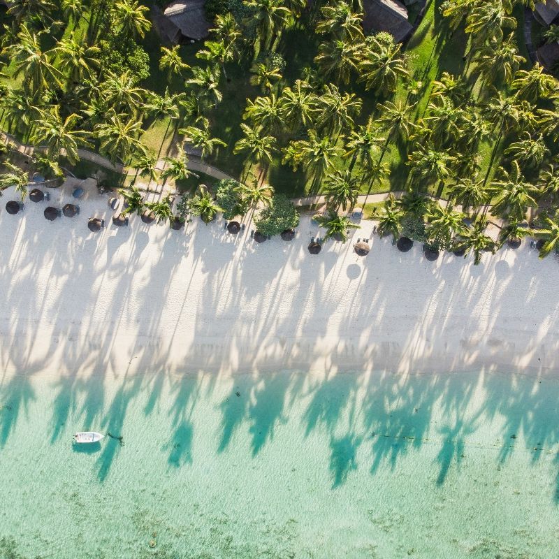 An aerial view captures a paradise beach in Mauritius, showcasing pristine white sand, turquoise waters, and lush tropical vegetation in this breathtaking travel photograph. Gentle waves lap the shore while vibrant coral reefs shimmer beneath the crystal-clear ocean, highlighting the island’s exceptional natural beauty and serene coastal charm. Ideal for beach lovers, snorkelers, and photographers, this idyllic setting offers relaxation, adventure, and unforgettable island experiences in one of the Indian Ocean’s most celebrated destinations. Inspiration Africa specializes in bespoke, tailor-made journeys to Mauritius and across Africa, crafting authentic travel experiences that reveal extraordinary beaches, marine wonders, and unforgettable tropical escapes.