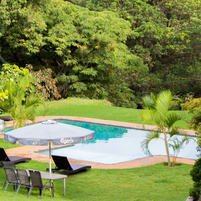 The swimming pool and lush green gardens at Kumbali Country Lodge in Malawi are captured in this inviting travel photograph, highlighting a peaceful retreat set within expansive, manicured grounds. The pool’s clear blue water contrasts beautifully with the surrounding lawns, mature trees, and vibrant flowering plants, creating an atmosphere of calm and understated elegance. Soft natural light filters through the greenery, enhancing the sense of privacy and relaxation that defines the lodge’s countryside setting. The scene reflects Kumbali Country Lodge’s blend of comfort, nature, and warm Malawian hospitality. Inspiration Africa curates bespoke, tailor-made journeys to Malawi and across Africa, combining charming lodge stays with immersive cultural, wildlife, and scenic experiences.