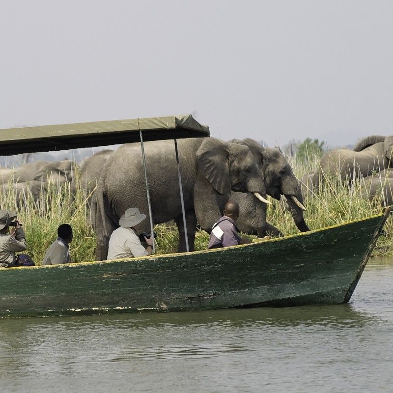 Glide along the Shire River on a boat safari in Liwonde National Park, where elephants, hippos, crocodiles, and abundant birdlife gather at the water’s edge. This unique perspective offers one of Malawi’s most rewarding wildlife experiences, combining serene river travel with exceptional game viewing. Inspiration Africa specializes in bespoke, tailor-made journeys to Malawi and across Africa, crafting extraordinary safari and adventure experiences in remarkable destinations.