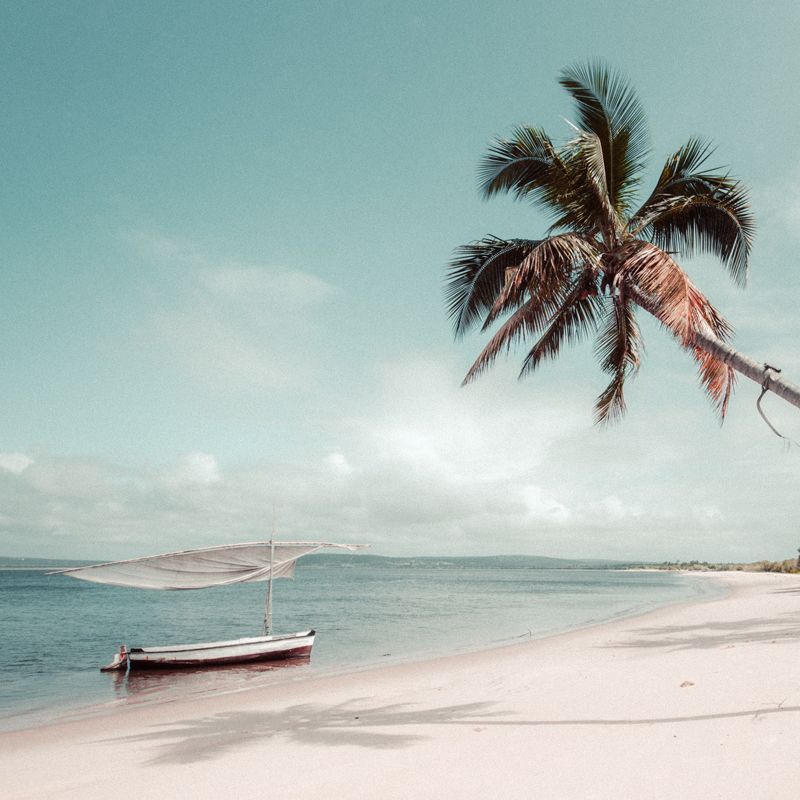 Mozambique’s remote beaches, such as Vamizi, Quilalea, and Bazaruto Islands, offer pristine white sands, turquoise waters, and untouched marine life, ideal for diving, snorkeling, and secluded tropical escapes along the Indian Ocean. We specialize in designing bespoke, tailor-made journeys that combine extraordinary perspectives with Africa’s most remarkable destinations, delivering immersive nature and wildlife experiences at every turn.
