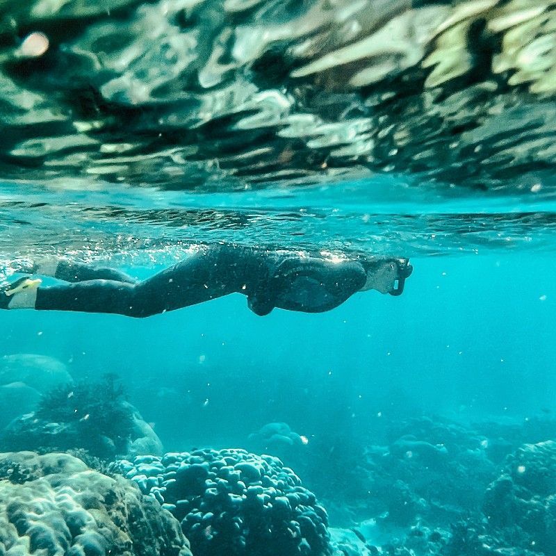A snorkeler explores the crystal-clear turquoise waters of the Bazaruto Archipelago, Mozambique, captured in this vibrant marine travel photograph. Surrounded by colorful coral reefs and teeming tropical fish, the scene highlights the richness and diversity of one of Africa’s most pristine marine ecosystems. The Bazaruto Archipelago is renowned for its calm waters, healthy reefs, and exceptional snorkeling and diving opportunities, offering unforgettable encounters with marine life. Ideal for snorkelers, marine wildlife enthusiasts, and underwater photographers, this image captures the beauty, serenity, and adventure of Mozambique’s Indian Ocean waters. Inspiration Africa specializes in bespoke, tailor-made journeys to Mozambique and across Africa, crafting immersive coastal experiences and extraordinary marine wildlife encounters in extraordinary destinations.