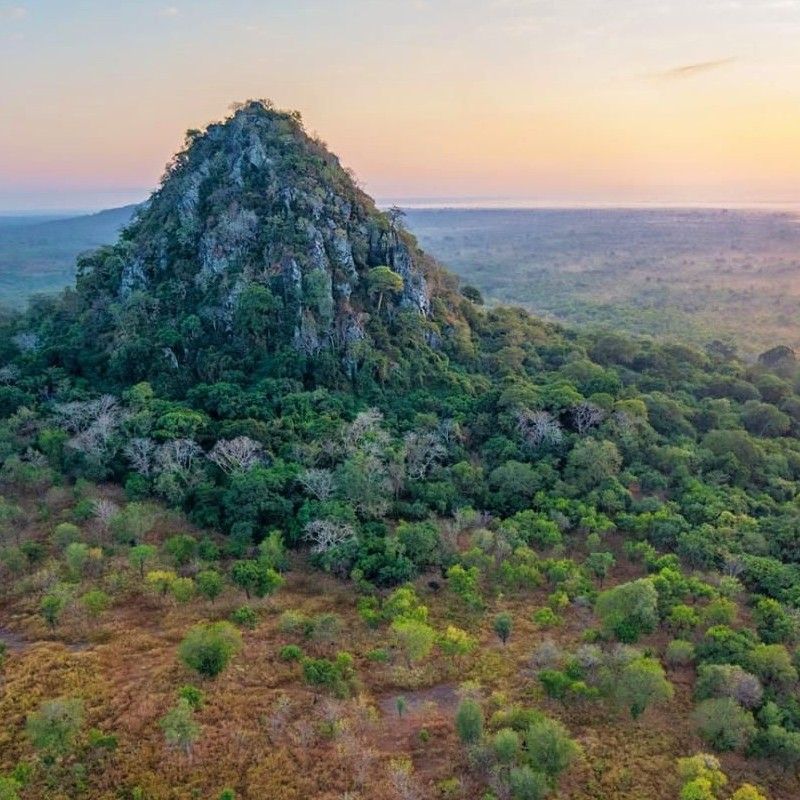 Hikers explore the lush slopes of Mount Gorongosa in Mozambique, captured in this stunning adventure travel photograph. Rising dramatically from the surrounding plains, Mount Gorongosa is part of Gorongosa National Park, renowned for its rich biodiversity, dense forests, and striking landscapes. Trails wind through tropical vegetation, misty valleys, and open savannah, offering panoramic views and opportunities to encounter unique wildlife and endemic plant species. Ideal for adventure seekers, nature enthusiasts, and photographers, trekking Mount Gorongosa combines physical challenge with immersive experiences in Mozambique’s most extraordinary natural landscapes. Inspiration Africa specializes in bespoke, tailor-made journeys to Mozambique and across Africa, crafting authentic, unforgettable hiking and adventure experiences in extraordinary destinations.