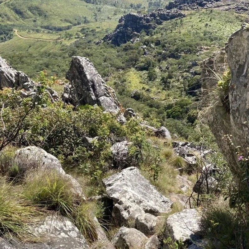 Hiking in Mozambique unveils remarkably diverse landscapes, from the rugged peaks of the Chimanimani Mountains to lush valleys and hidden waterfalls. Scenic trails wind through areas rich in natural beauty and unique flora, offering rewarding adventures for nature lovers. Inspiration Africa specializes in bespoke, tailor-made journeys to Mozambique and across Africa, crafting extraordinary safari and adventure experiences in remarkable destinations.