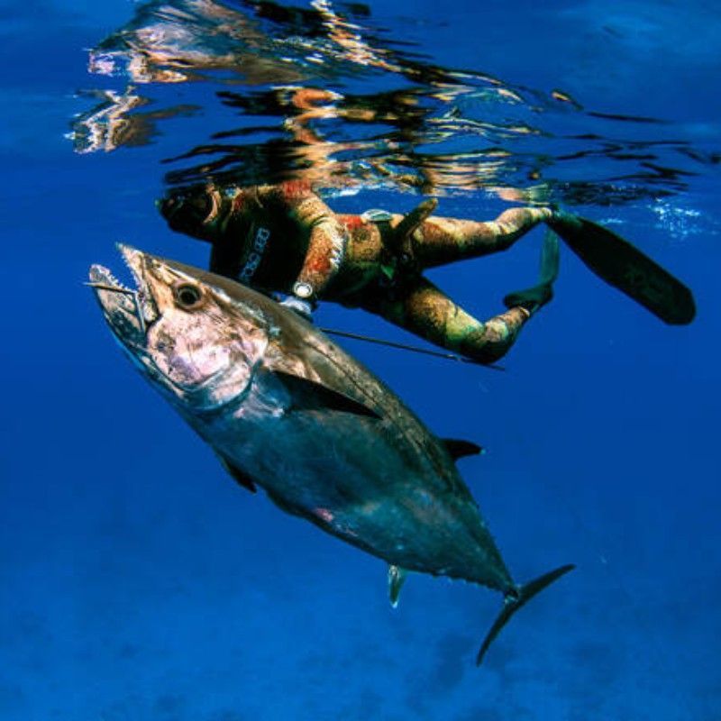 Mozambique’s crystal-clear waters along the Mozambique Channel are ideal for fishing and spearfishing, offering abundant marine life and exceptional offshore action. Anglers can target tuna, marlin, and snapper in some of the Indian Ocean’s most productive seas. Inspiration Africa specializes in bespoke, tailor-made journeys to Mozambique and across Africa, crafting extraordinary safari and adventure experiences in remarkable coastal and wilderness destinations.