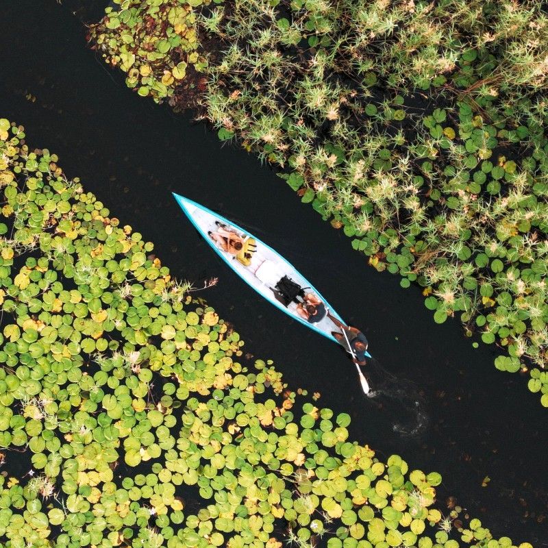 An aerial view captures a lone kayak gliding through winding mangrove channels in the Vilanculos area of Mozambique, highlighting the region’s pristine coastal beauty. Surrounded by lush green mangroves and shimmering turquoise waters, this kayaking experience offers a unique perspective on Mozambique’s diverse marine and coastal ecosystems. Travelers can navigate calm waterways, observe vibrant birdlife, and explore hidden corners of the Bazaruto Archipelago, one of Africa’s most spectacular and unspoiled destinations. Ideal for adventure seekers and nature enthusiasts, kayaking here combines tranquility, wildlife encounters, and breathtaking scenery. Inspiration Africa creates bespoke, tailor-made journeys to Mozambique and across Africa, offering authentic, immersive experiences in extraordinary locations for unforgettable travel adventures.