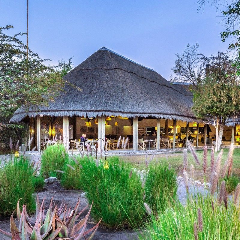 The lush garden at Mushara Bush Camp in Namibia is captured in this inviting travel photograph, offering a tranquil oasis on the edge of Etosha National Park. Indigenous plants, shaded pathways, and pockets of greenery create a peaceful retreat where nature and thoughtful design come together. The garden provides a refreshing contrast to the surrounding semi-arid landscape, attracting birdlife and offering quiet spaces to relax between safari activities. Soft light filtering through the foliage enhances the sense of calm and intimacy that defines Mushara Bush Camp. Ideal for travelers seeking comfort, authenticity, and a close connection to nature, this scene highlights the camp’s welcoming atmosphere and harmonious integration with its natural surroundings. Inspiration Africa specializes in bespoke, tailor-made journeys to Namibia and across Africa, crafting immersive safari stays and memorable lodge experiences in extraordinary landscapes.