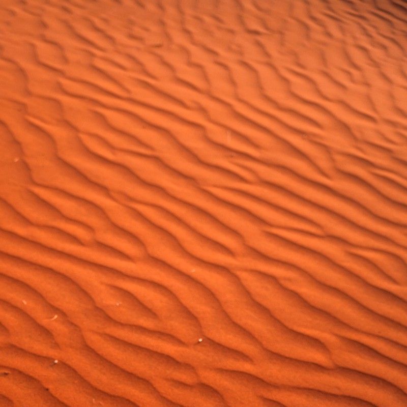 The “sand waves” of Namibia’s desert stretch endlessly across the landscape, forming flowing patterns of wind-shaped dunes that resemble an ocean frozen in time. These sculpted ridges of red and orange sand create a mesmerizing interplay of light and shadow, highlighting the ancient and ever-changing nature of the Namib Desert. From above or at ground level, the sweeping curves and rhythmic textures evoke a sense of movement and vastness, showcasing one of Africa’s most iconic and surreal environments.
Inspiration Africa specializes in bespoke, tailor-made journeys across Namibia and the African continent, creating immersive travel experiences that connect travelers with extraordinary desert landscapes, unique wildlife encounters, and authentic adventure. From scenic explorations of the Namib dunes to unforgettable safari experiences, every itinerary is carefully curated to reveal the beauty, diversity, and spirit of Africa.
