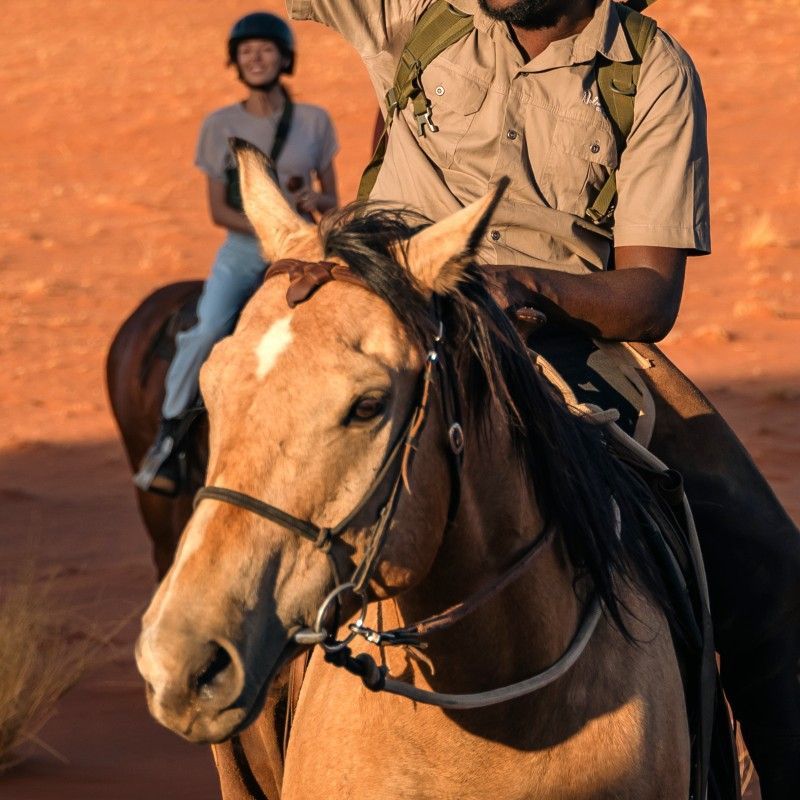 Gaze upon a sense of adventure as two travelers ride across sweeping sand dunes in the Namibian desert. This evocative photograph captures the vast scale of golden dunes, endless horizons, and the thrill of exploring one of the world’s oldest deserts. The scene reflects freedom, remoteness, and the raw beauty that defines Namibia’s landscapes. Experiencing the desert in this immersive way offers a unique connection to nature and a powerful sense of space. Inspiration Africa specializes in crafting bespoke, tailor-made journeys that deliver unforgettable desert adventures and extraordinary travel experiences across Africa’s most remarkable destinations.