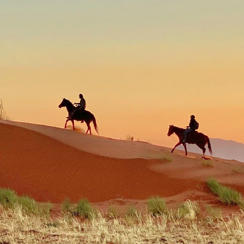 Gaze upon a sense of adventure as two travelers ride across sweeping sand dunes in the Namibian desert. This evocative photograph captures the vast scale of golden dunes, endless horizons, and the thrill of exploring one of the world’s oldest deserts. The scene reflects freedom, remoteness, and the raw beauty that defines Namibia’s landscapes. Experiencing the desert in this immersive way offers a unique connection to nature and a powerful sense of space. Inspiration Africa specializes in crafting bespoke, tailor-made journeys that deliver unforgettable desert adventures and extraordinary travel experiences across Africa’s most remarkable destinations.