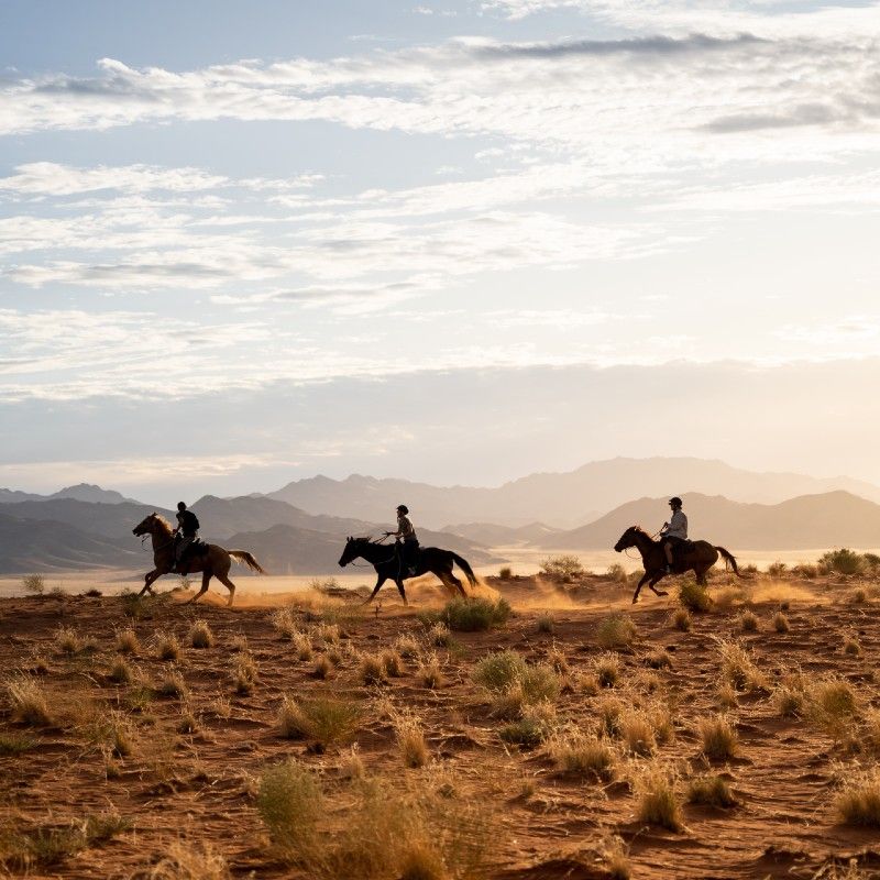 A group of riders crosses the sweeping dunes and open plains of the NamibRand Nature Reserve near Wolwedans, experiencing the desert from a timeless perspective. Horseback exploration reveals the silence, scale, and raw beauty of Namibia’s landscapes in an intimate and immersive way. Inspiration Africa specializes in bespoke, tailor-made journeys to Namibia and across Africa, crafting extraordinary safari and adventure experiences in remarkable destinations.