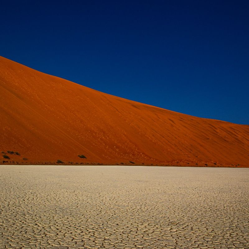 Experience the striking beauty of Namibia’s Kalahari Desert with this captivating image of its red sand dunes. The photo captures the warm, rust-coloured sands glowing beneath the desert light, their soft curves and shifting shadows creating a dramatic and serene landscape. Sparse vegetation and endless horizons highlight the unique charm of the Kalahari, where vibrant colours and vast open spaces define one of southern Africa’s most atmospheric wilderness areas.
Inspiration Africa crafts tailor-made journeys to Namibia, offering travellers the opportunity to explore the Kalahari Desert, encounter its remarkable wildlife, and immerse themselves in the vivid landscapes and quiet majesty of this extraordinary region.