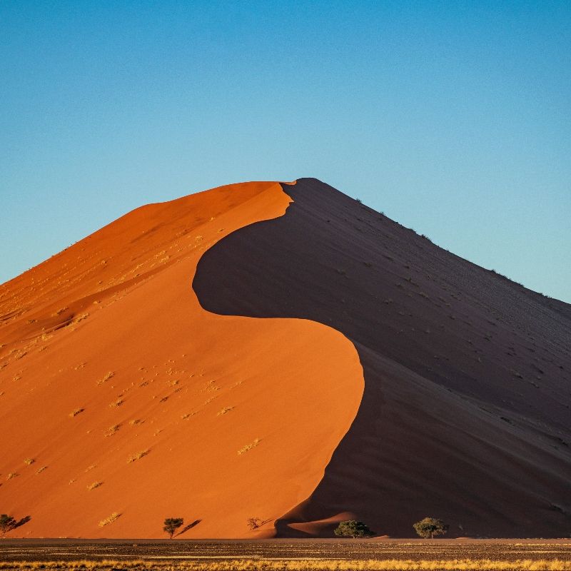 Experience the striking beauty of Namibia’s Kalahari Desert with this captivating image of a towering sand dune bathed in warm sunlight. The photo captures the elegant curves, rich ochre tones, and shifting shadows that define this vast semi-arid landscape, highlighting the serene and timeless character of the Kalahari. Sparse vegetation and endless horizons emphasize the desert’s expansive scale and unique, otherworldly charm.
Inspiration Africa crafts tailor-made journeys to Namibia, offering travellers the opportunity to explore the Kalahari Desert, encounter its remarkable wildlife, and immerse themselves in one of Africa’s most iconic and dramatic landscapes.