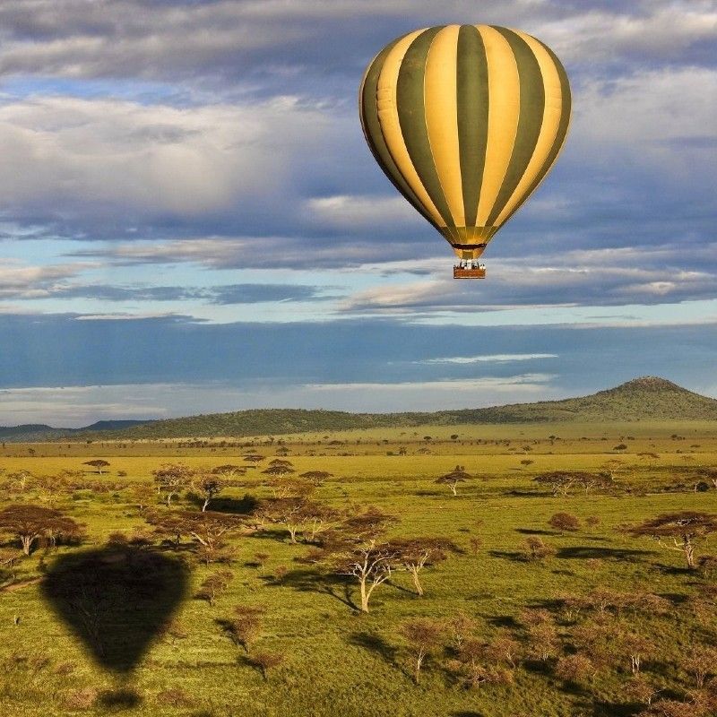 Hot air ballooning over Akagera National Park offers a unique perspective of Rwanda’s savannah and wetlands. Soaring at sunrise, visitors can witness elephants, giraffes, and other wildlife while enjoying breathtaking views of the park’s diverse landscapes. Inspiration Africa specializes in bespoke, tailor-made journeys to Rwanda and across Africa, crafting extraordinary safari and adventure experiences in remarkable destinations.