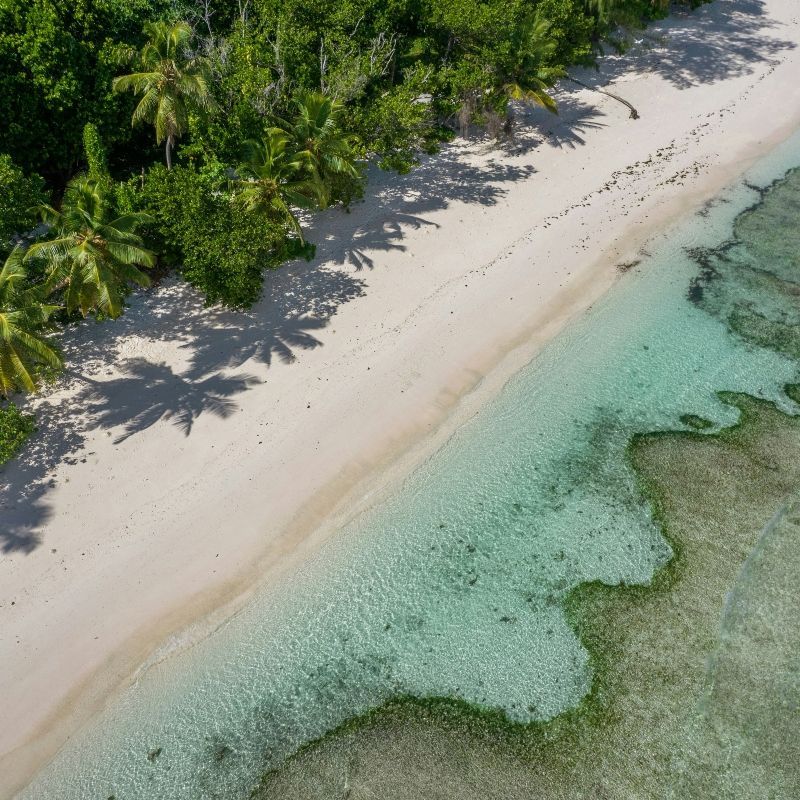 Discover the iconic beauty of Seychelles with Inspiration Africa. Sculpted granite boulders and powder-white beaches set against turquoise waters create some of the world’s most breathtaking coastal landscapes. We specialize in designing bespoke, tailor-made journeys that combine extraordinary perspectives with Africa’s most remarkable destinations, offering refined island escapes and unforgettable seaside experiences.