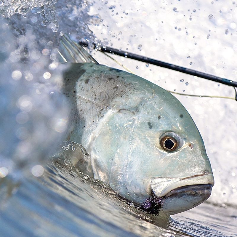 Fishing in Seychelles is a world-class experience, with rich Indian Ocean waters yielding prized catches such as tuna, marlin, and snapper. Whether deep-sea, fly, or reef fishing, the islands offer exceptional opportunities for anglers of all skill levels. Waters around Mahé, Praslin, and the remote Outer Islands are particularly renowned for thrilling big-game fishing. Inspiration Africa specializes in bespoke, tailor-made journeys to Seychelles and across Africa, crafting extraordinary safari and adventure experiences in remarkable destinations.