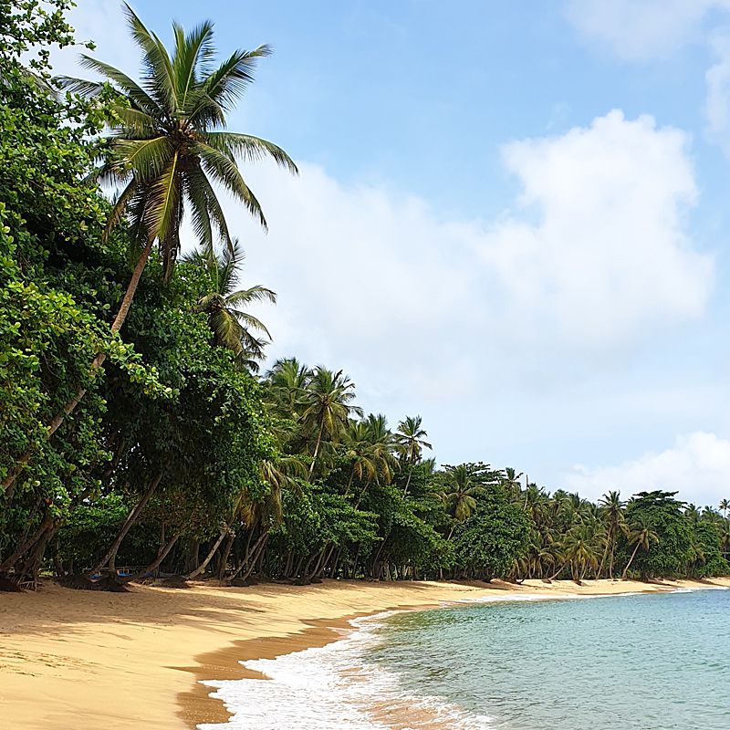 Discover the untouched island beauty of São Tomé and Príncipe with Inspiration Africa. Remote beaches fringed by lush greenery and coconut palms define these secluded Atlantic islands. We specialize in designing bespoke, tailor-made journeys that combine extraordinary perspectives with Africa’s most remarkable destinations, offering tranquil escapes and authentic island experiences far from the ordinary.